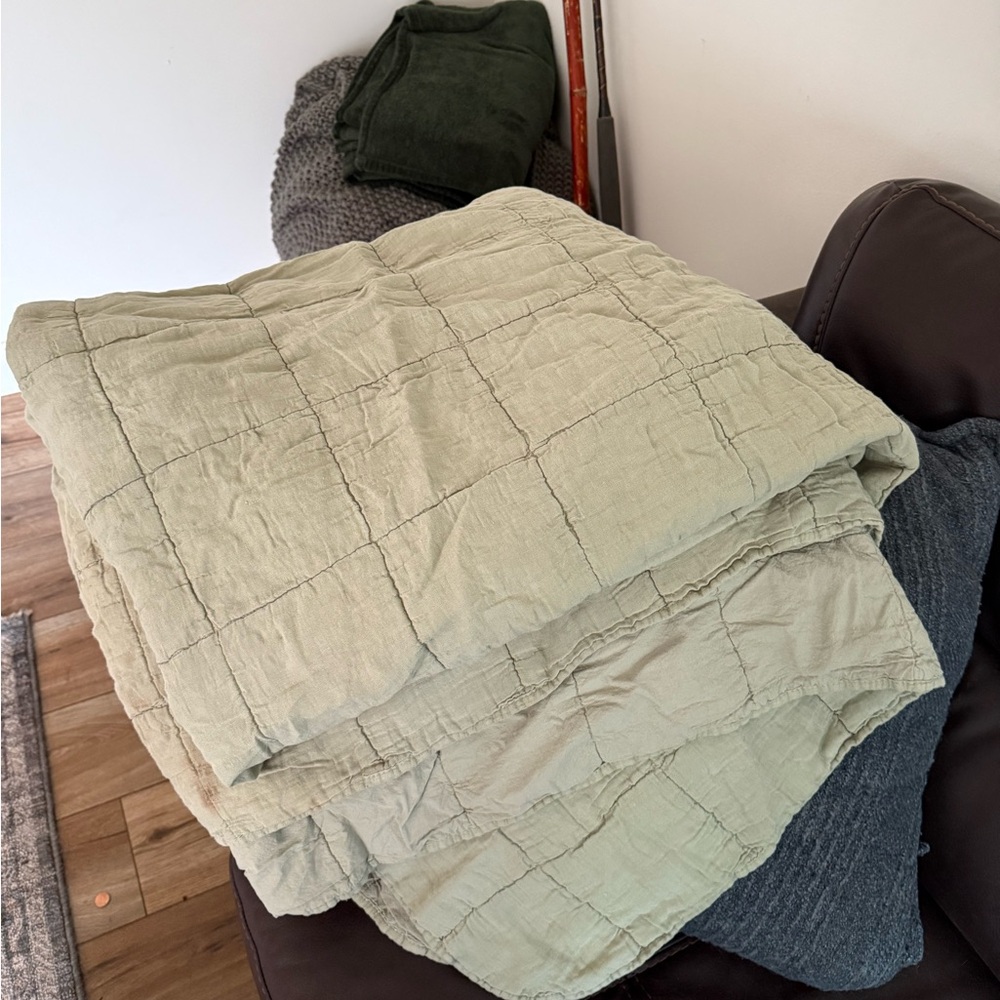 Soft Olive Green Comforter